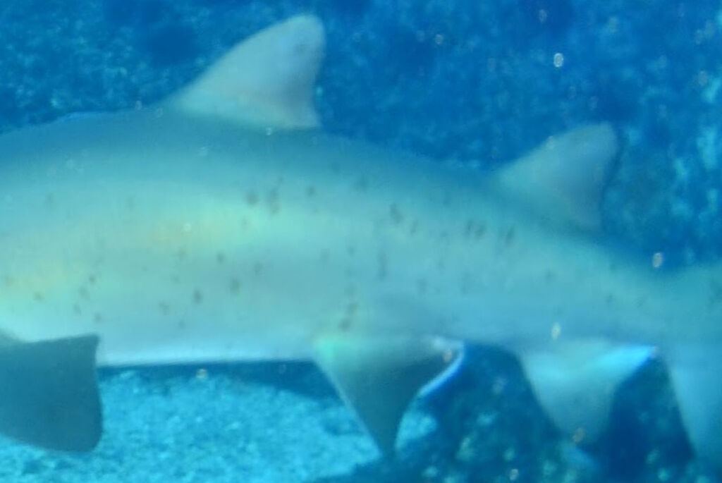 3dbe4add-252f-4d0f-8d44-9aef5e53ef69