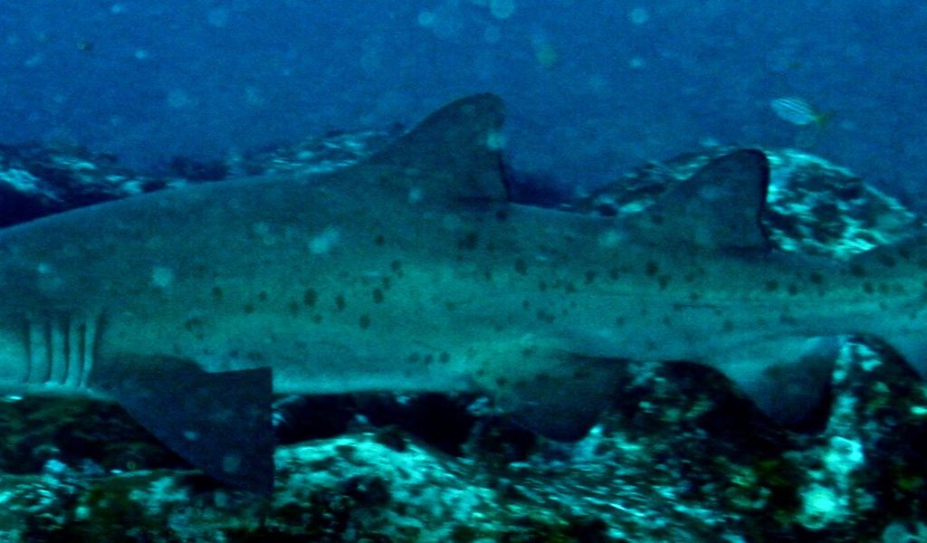 5f2e9212-e186-493b-9f17-ade96beed14d