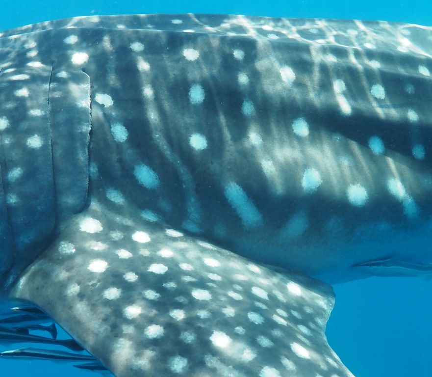 b8518758-fa54-496a-8d55-c91e0c6297f6