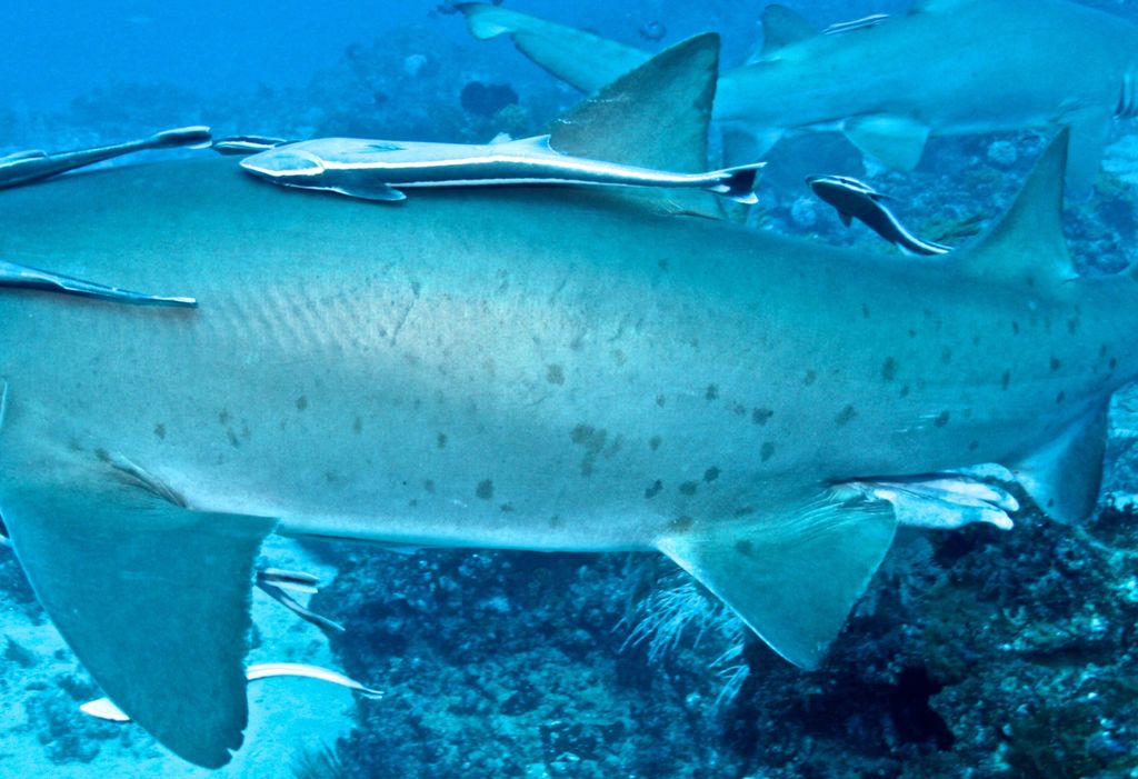 b608376c-746f-4a55-a240-b955b46b28bb