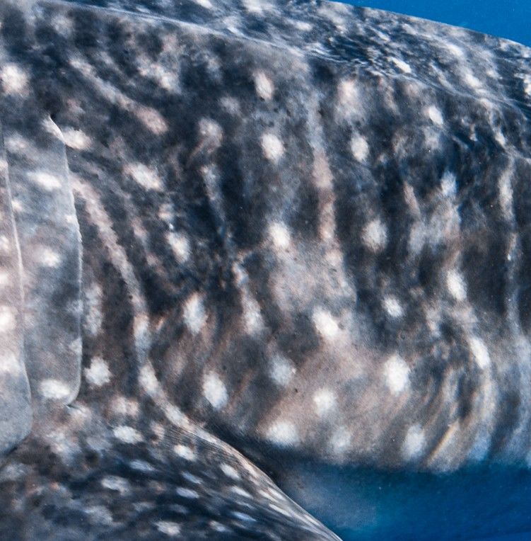 200a472f-c9cf-4716-9825-16eafc7726b8