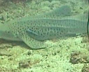 26ec0430-c662-4e4b-9468-20db6b2ee2c2