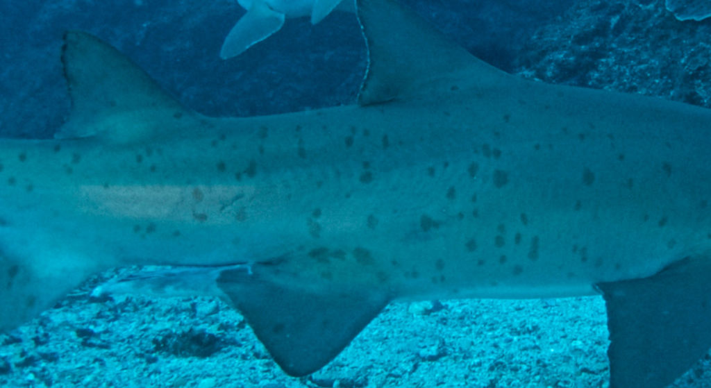 dcc030f8-1dc5-4401-b14b-ee392eb4ca5c