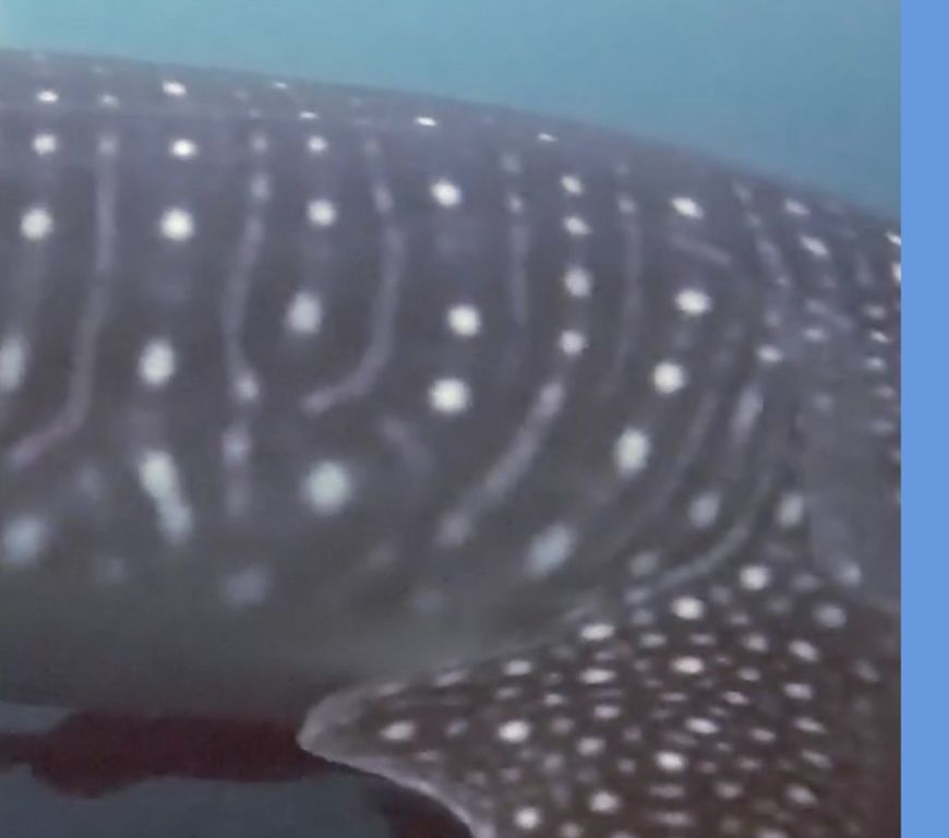 e1112eca-d450-4d9e-9de6-3d13447b8e15