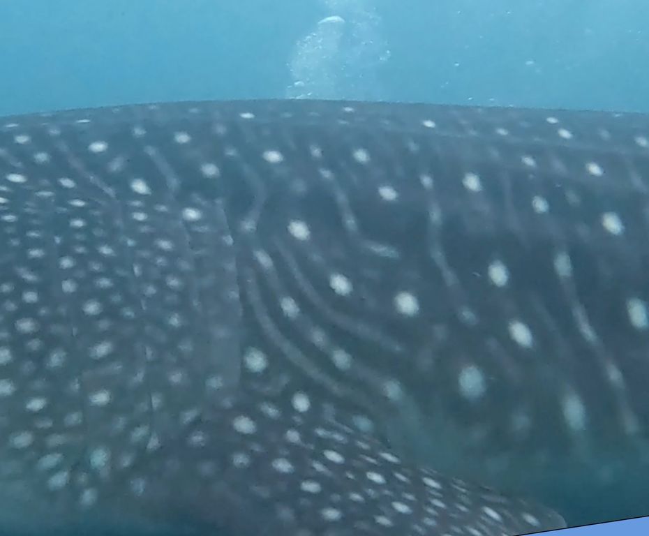 e1112eca-d450-4d9e-9de6-3d13447b8e15