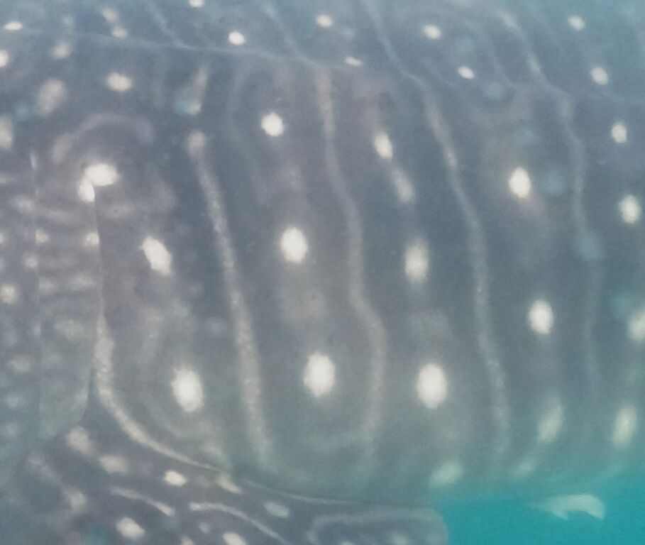 a5dd4cd0-1e8d-49f4-93a2-ab75d076a770