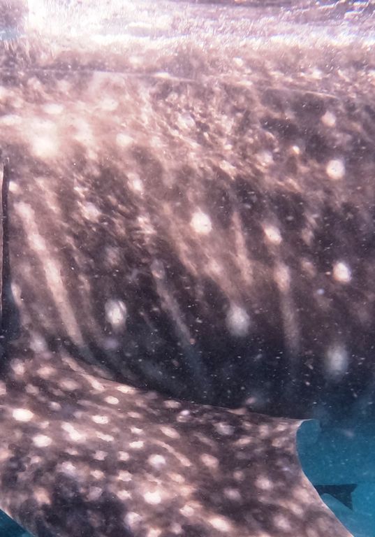 707e060f-526f-412c-a543-833820aed0eb