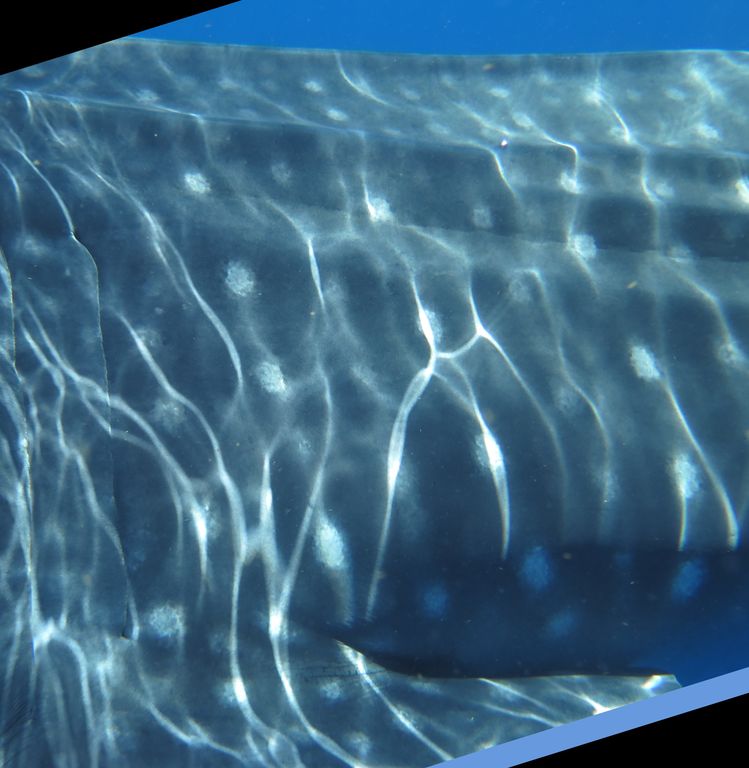 f5ad9d15-1b97-4447-8e52-3c848ee4b967