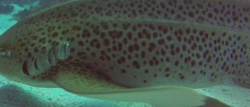 babafd66-6f2a-4440-b44a-244037f6f580