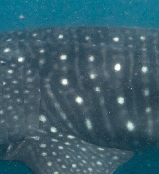 1be8b04a-c501-49ed-9d90-cb72b8e76f7a