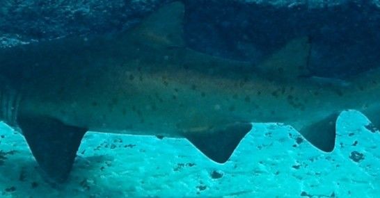 74801ab9-78a8-4170-8949-65eb6dfe3eca