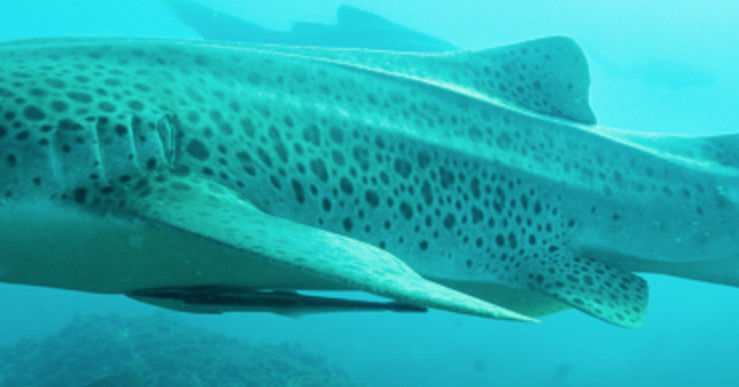 f721387a-6221-40e0-a448-70976ec5fd90