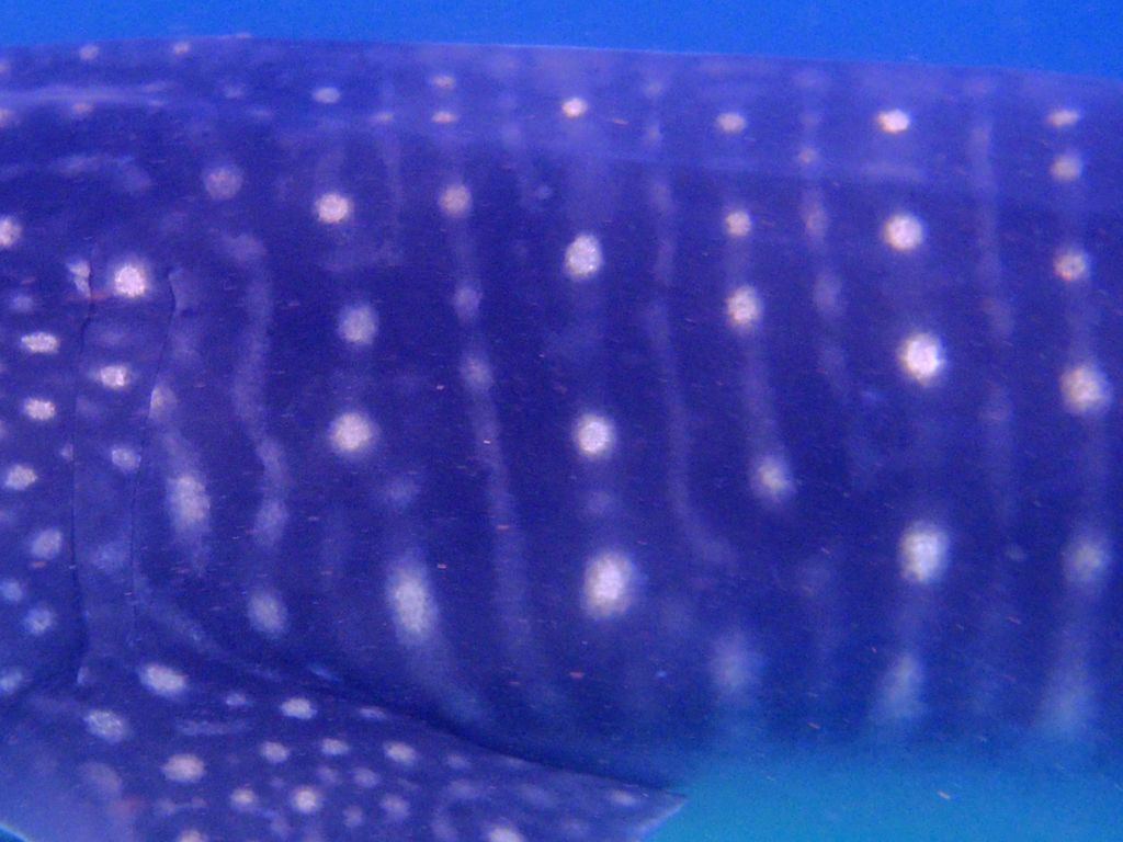 6f2394d9-d1be-4f5c-a23d-a42eb270510e