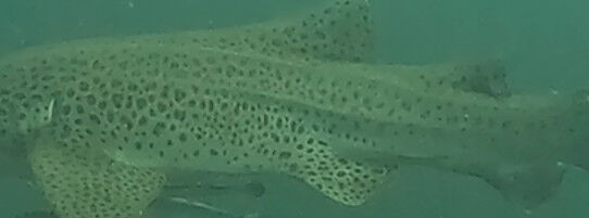 cad3d0cd-d7e4-47a0-afa3-68eee758c514