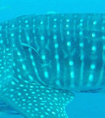 16aeb1a0-37bc-4610-b204-1aa070f6487f