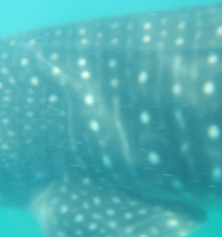 39dc6620-1eb5-4160-acaa-66c5130932a0