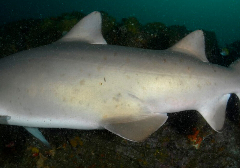 552c9249-ca0f-434b-8cdf-09a03cc93258