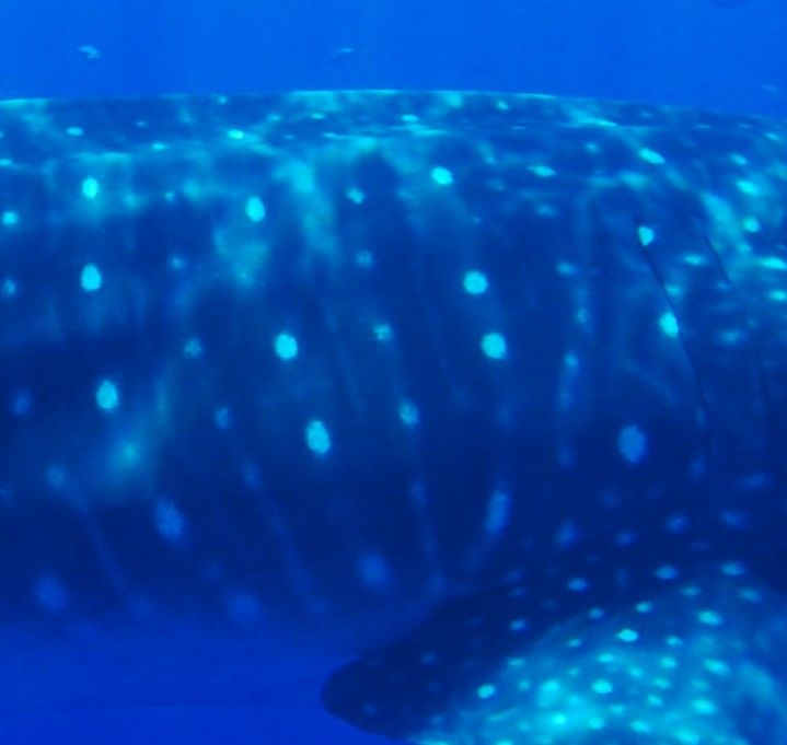 aee7c448-89ea-4a25-9b5d-1eebd78c1092