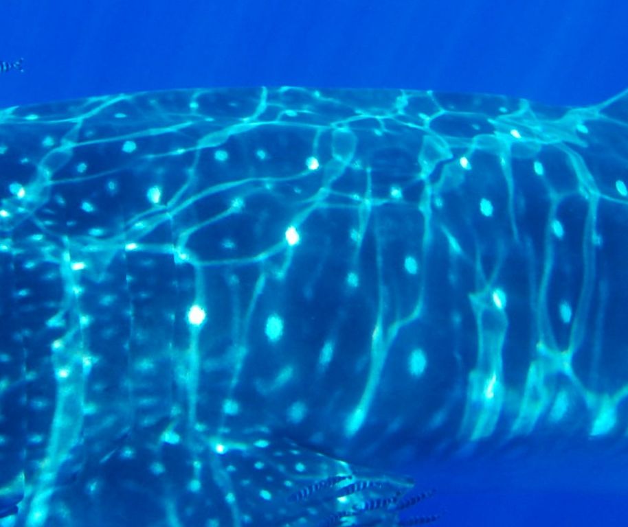 aee7c448-89ea-4a25-9b5d-1eebd78c1092