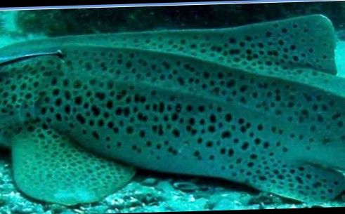 8f532bc2-2e0a-468f-b963-ce54a70792ef