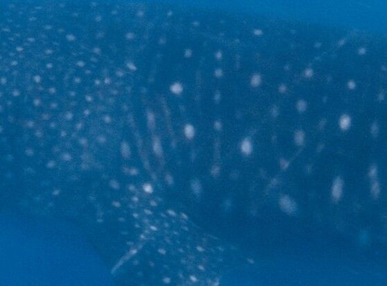 e28c476b-94a3-4b0d-84cc-e954823daca4