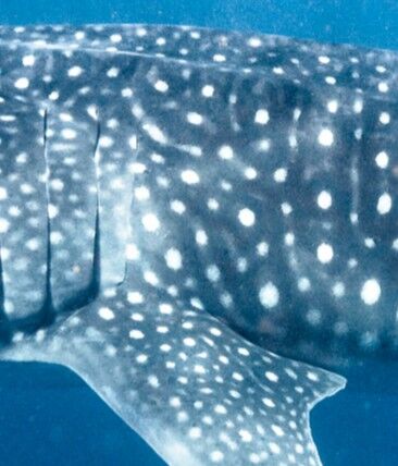 34fbb821-2f01-46ff-b3ad-17ddb5d1dced