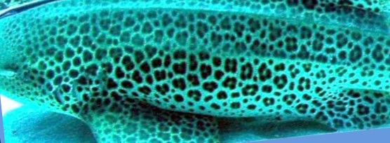 69fb10c3-553e-4f5f-a723-25336096c85f