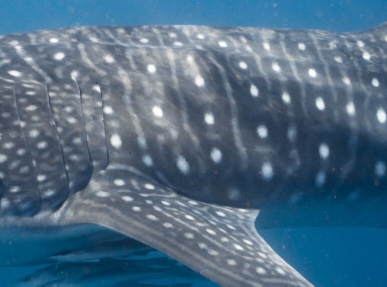 7cc0202f-5981-403e-b6d1-31d5d2f6c6c2