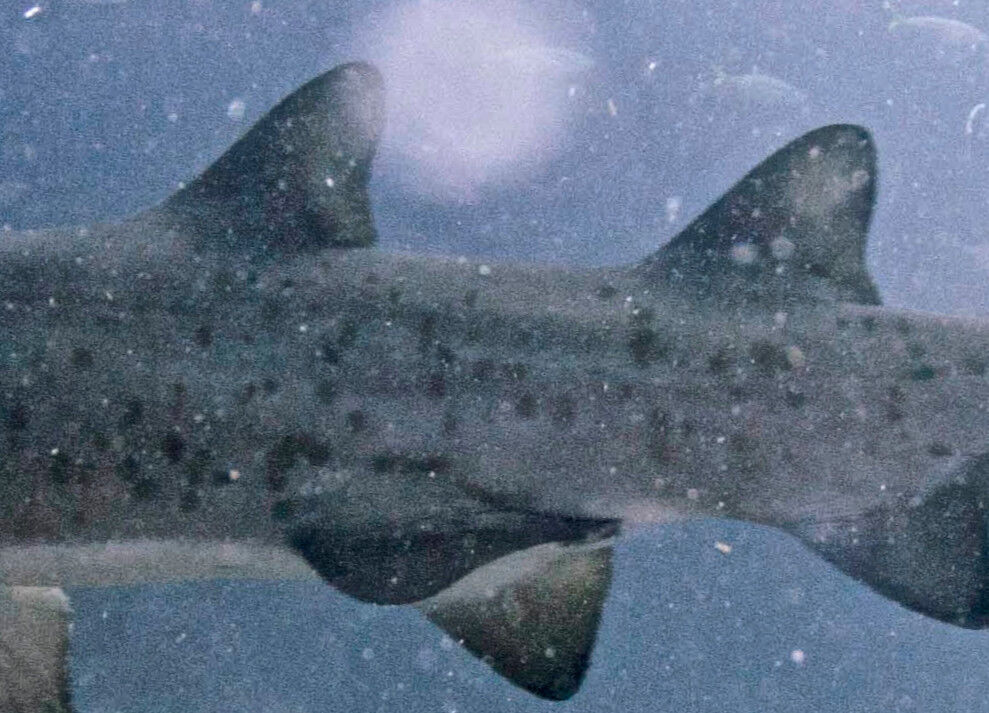 32928760-8a11-40b1-a2cb-04902fa9e9c6