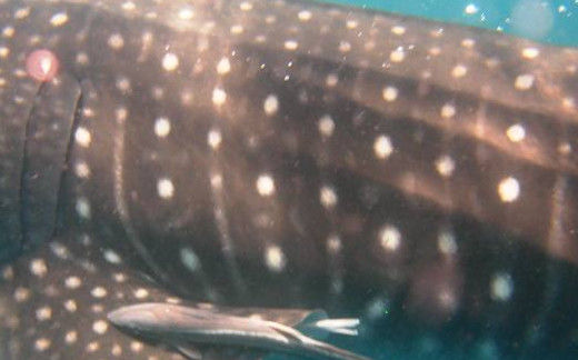 dfdf8923-1fb3-4d32-b2c4-fda7aaeb2d29