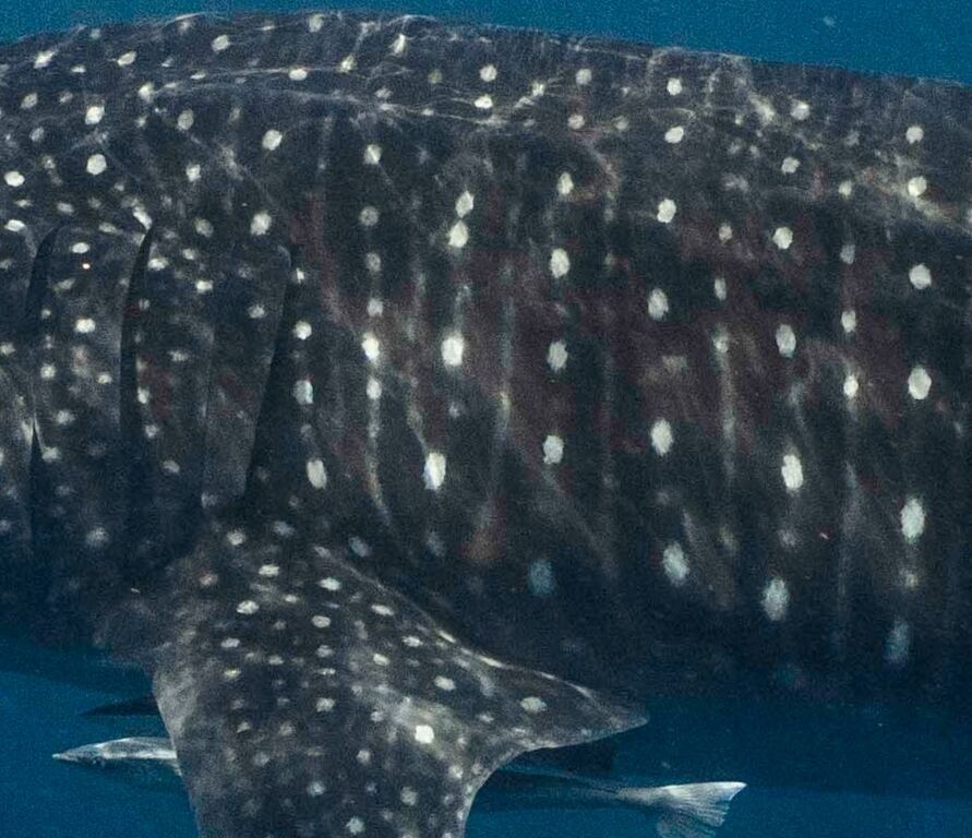 0621c6fc-2f4d-464f-a990-9917d58cf27e