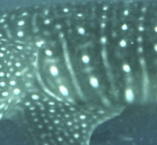 6b18189c-f7d1-4f16-b0a4-6671aed10c96