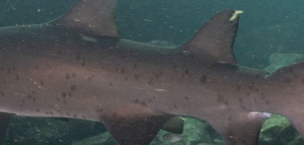 3a842e90-56b6-4882-bab0-39a944560a8d