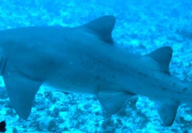 45b54e08-fd76-49ae-a81d-5b8be0d1ddb2