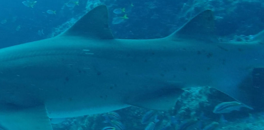 39ae6bef-a42a-45de-9ffb-4a00a4ff5f1b