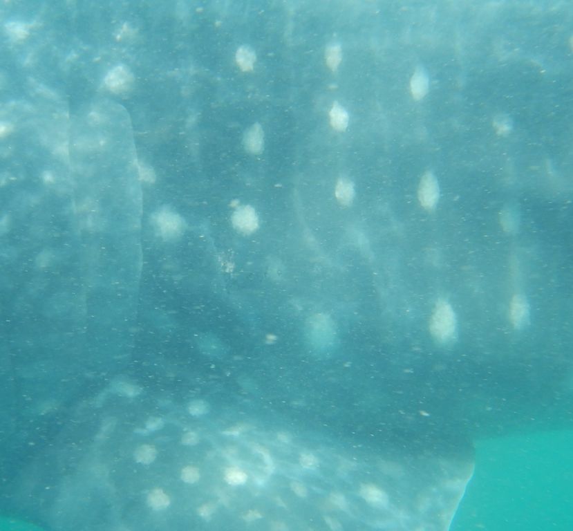 840c2b24-c1ab-416f-9b48-f6df28350e86