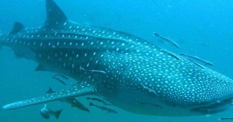 89de9166-e42f-4d75-b70f-f7875b825534