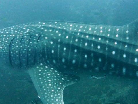 89de9166-e42f-4d75-b70f-f7875b825534