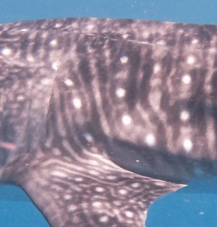 b25b9af8-87d9-44cf-8be7-a22843624c07