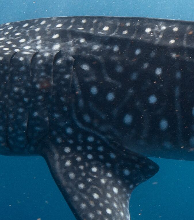 fa45b4d6-0fe5-454f-9efe-0f4bbce51088