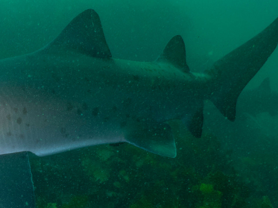 03ca343b-9765-4a58-ab5e-8ab14fdcf714