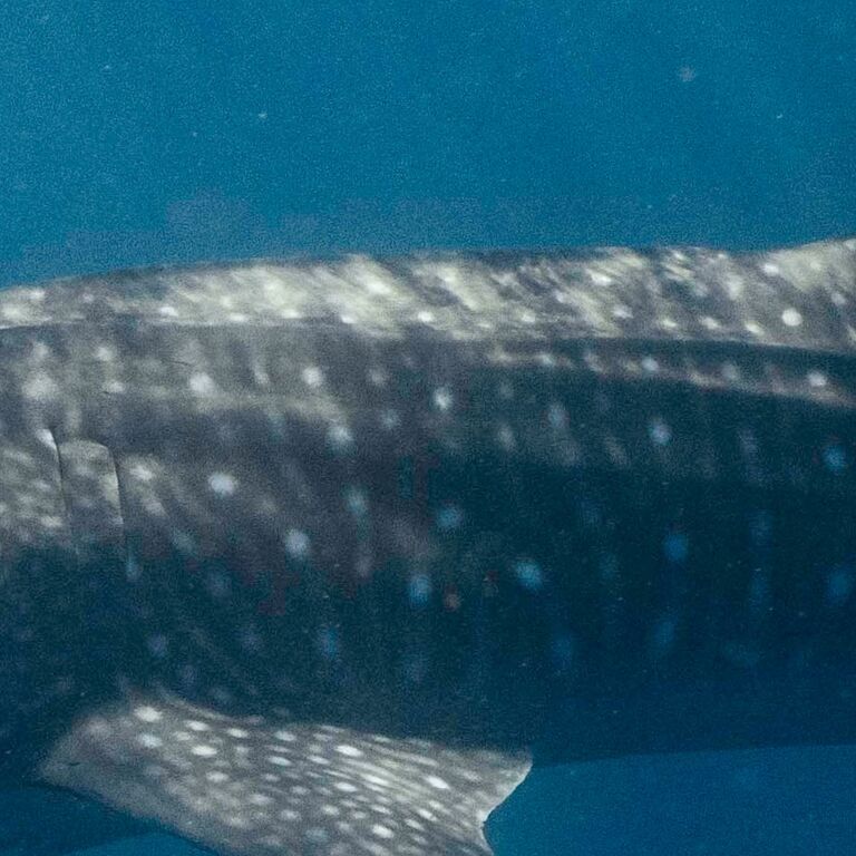 520bded9-151e-4b23-ad7d-ade294837108