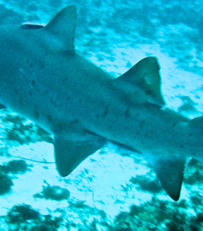 b38df928-ce74-4c8d-b92a-57d03663fe17