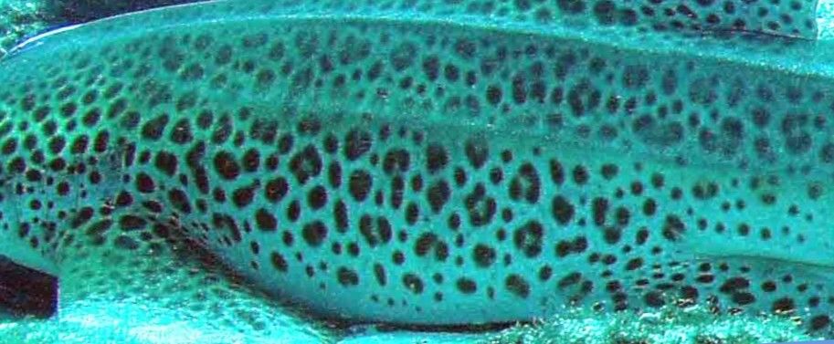 649f510a-5f45-4bff-9475-4997c8aae71f