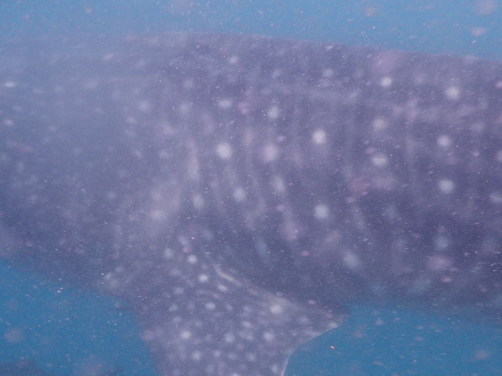 120a7c6b-c4ae-4aa5-84da-29ea396ad7b5