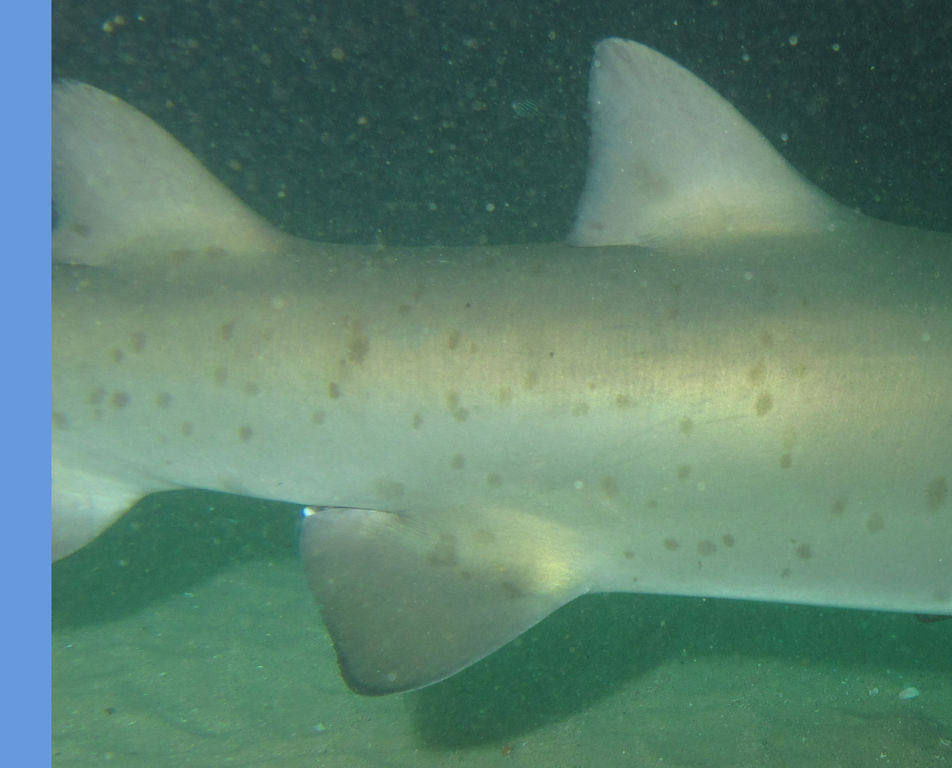 f3397d83-0256-49be-96ec-cc5d5fbf79b7