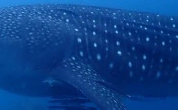 d08bba12-5d93-4071-9c11-3e4d00064638