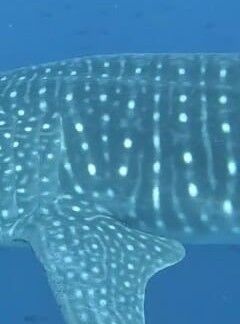 75e7bd6f-abca-46df-bc87-8d084a6b770f