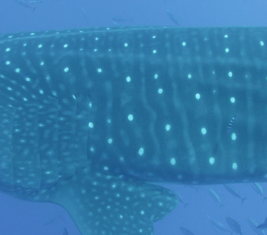 646ff34f-817c-40b5-89ec-8b02f46c97b4