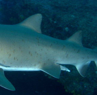 52a010f7-5c16-4e02-bdd6-6cd45e8f3286